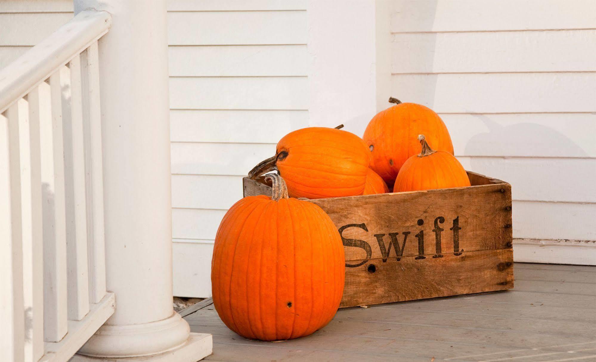 Swift House Inn Middlebury Buitenkant foto